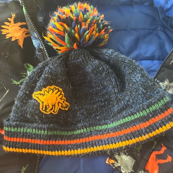 Dinosaur Jacket - Picture 6 of 9